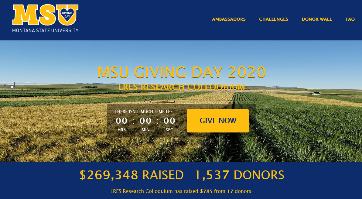 MSU Giving Day