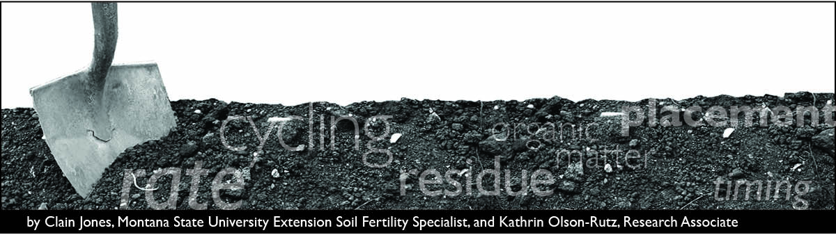 The Soil Scoop Header - shovel and soil