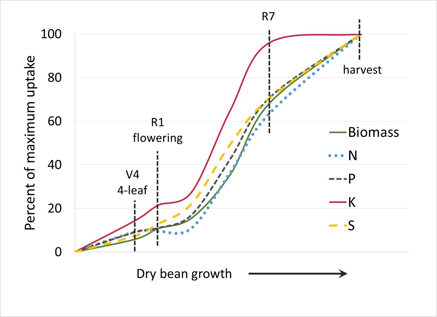 Dry bean: Uptake of all nutrients rapidly increases during reproductive growth. K uptake is complete around R7, and other nutrients increase up until harvest.
