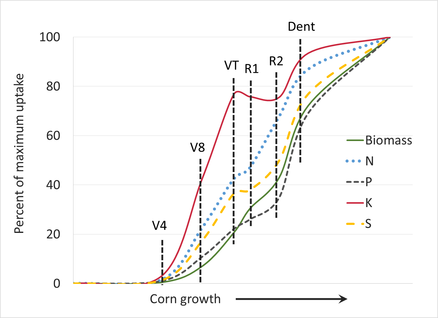 Corn: Uptake increases dramatically at V4, with K uptake the highest. Rates remain fairly constant until corn reaches maturity.