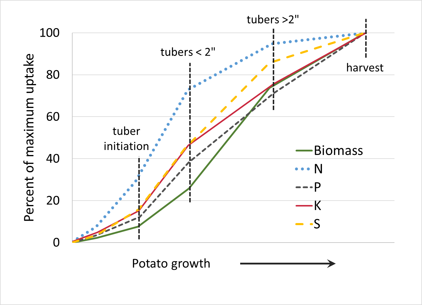 Potato: N uptake occurs fastest. The highest uptake rates occur after tuber initiation. Uptake for all nutrients reaches 100% at harvest.