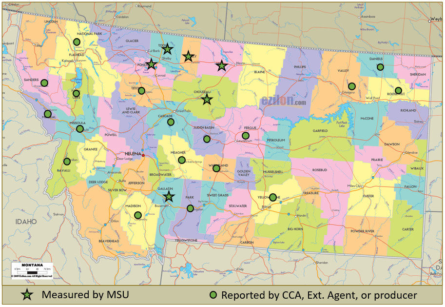 Figure 1. Montana Counties in which fields iwth soil pH < 5.5 have been found