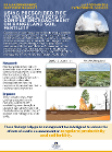 An infographic about prescribed fire and conifer encroachment