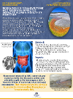 An infographic about research in Yellowstone and hot springs directly impacts human health