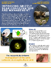 An infographic about improving Grizzly Bear conservation