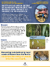 An infographic about destroying weed seeds at harvest