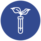 Icon of test tube with seedling