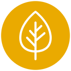 leaf icon