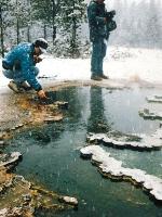 Yellowstone Field Work