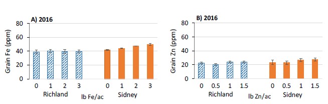 dry pea grain Fe Zn at 2 sites in 2016 