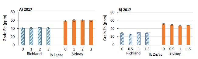 dry pea grain Fe and Zn at 2 sites in 2017