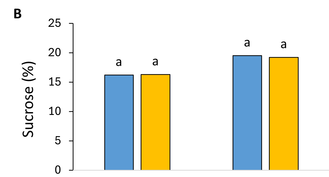 Percent sucros by tillage in 2019 and 2020