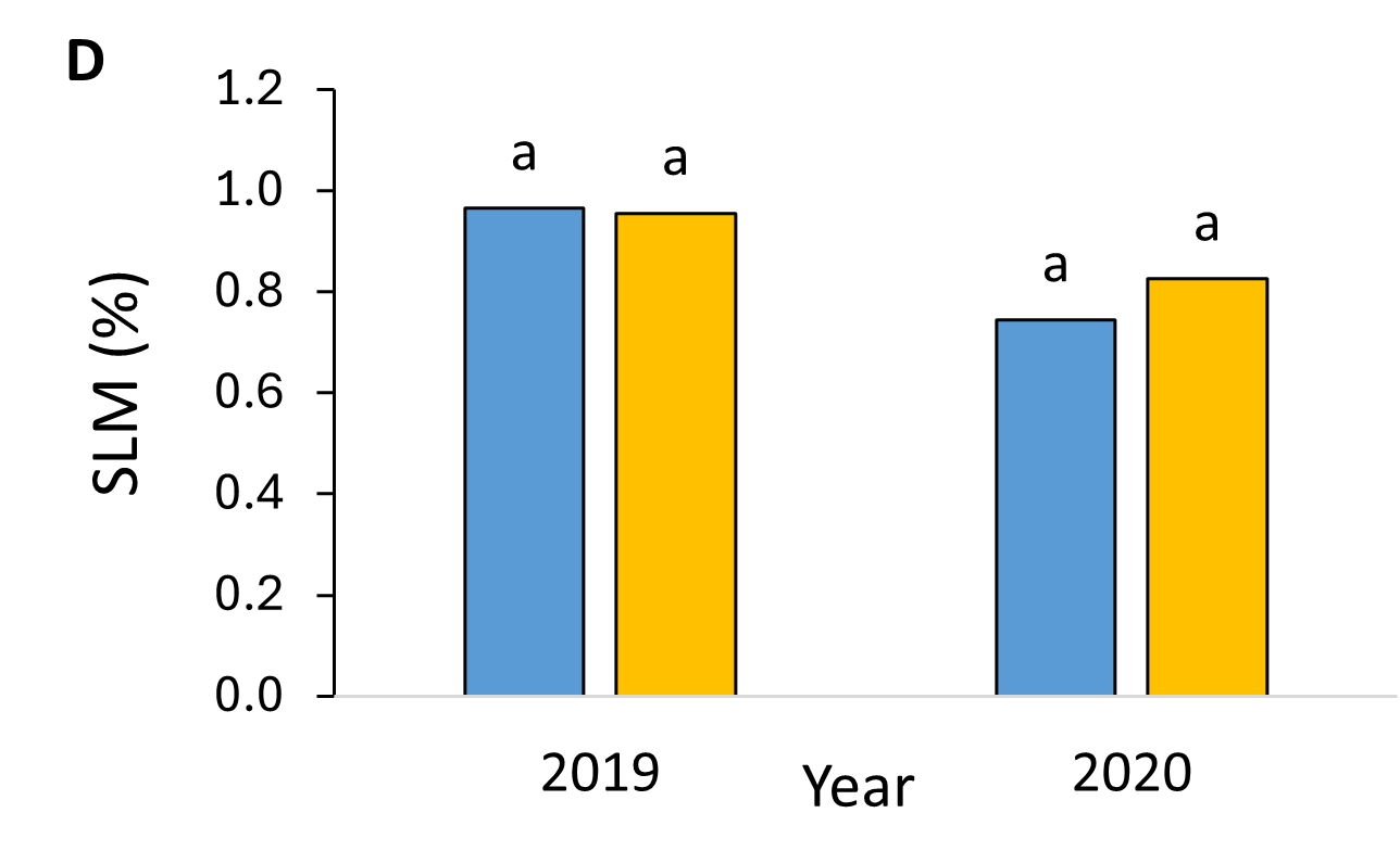 sucrose loss to molasses by tillage in 2019 and 2020