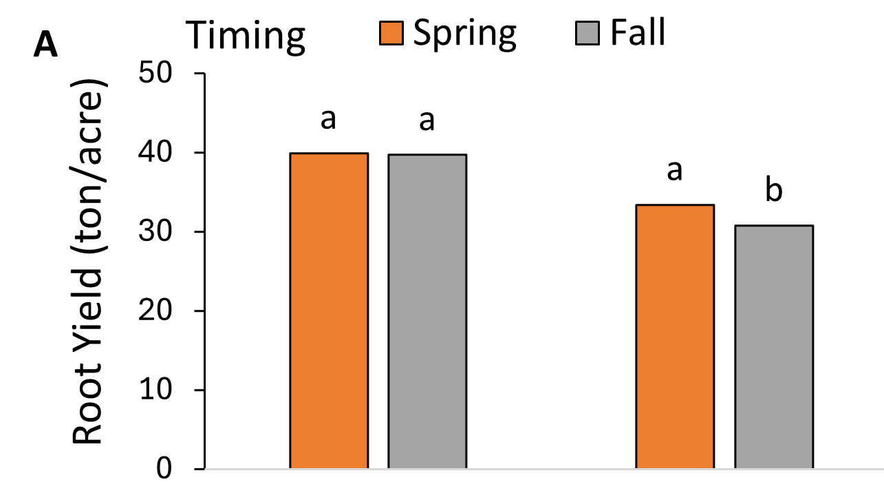 root yield by N application timing in 2019 and 2020