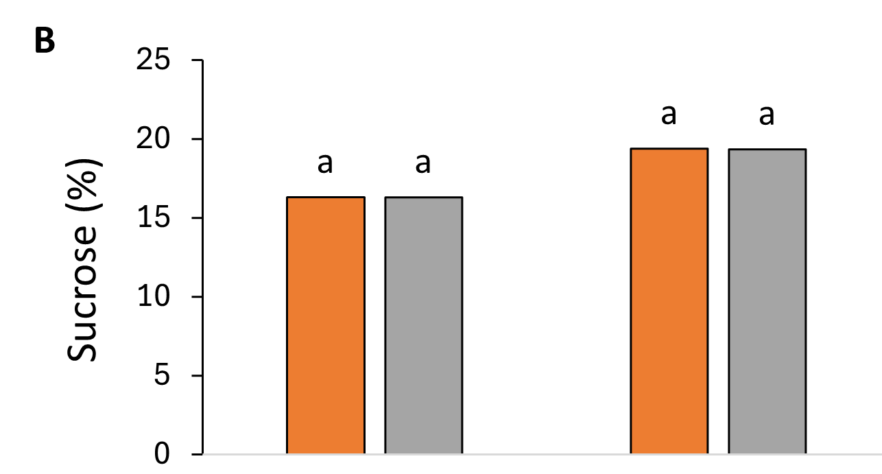 Percent sucrose by N application timing in 2019 and 2020