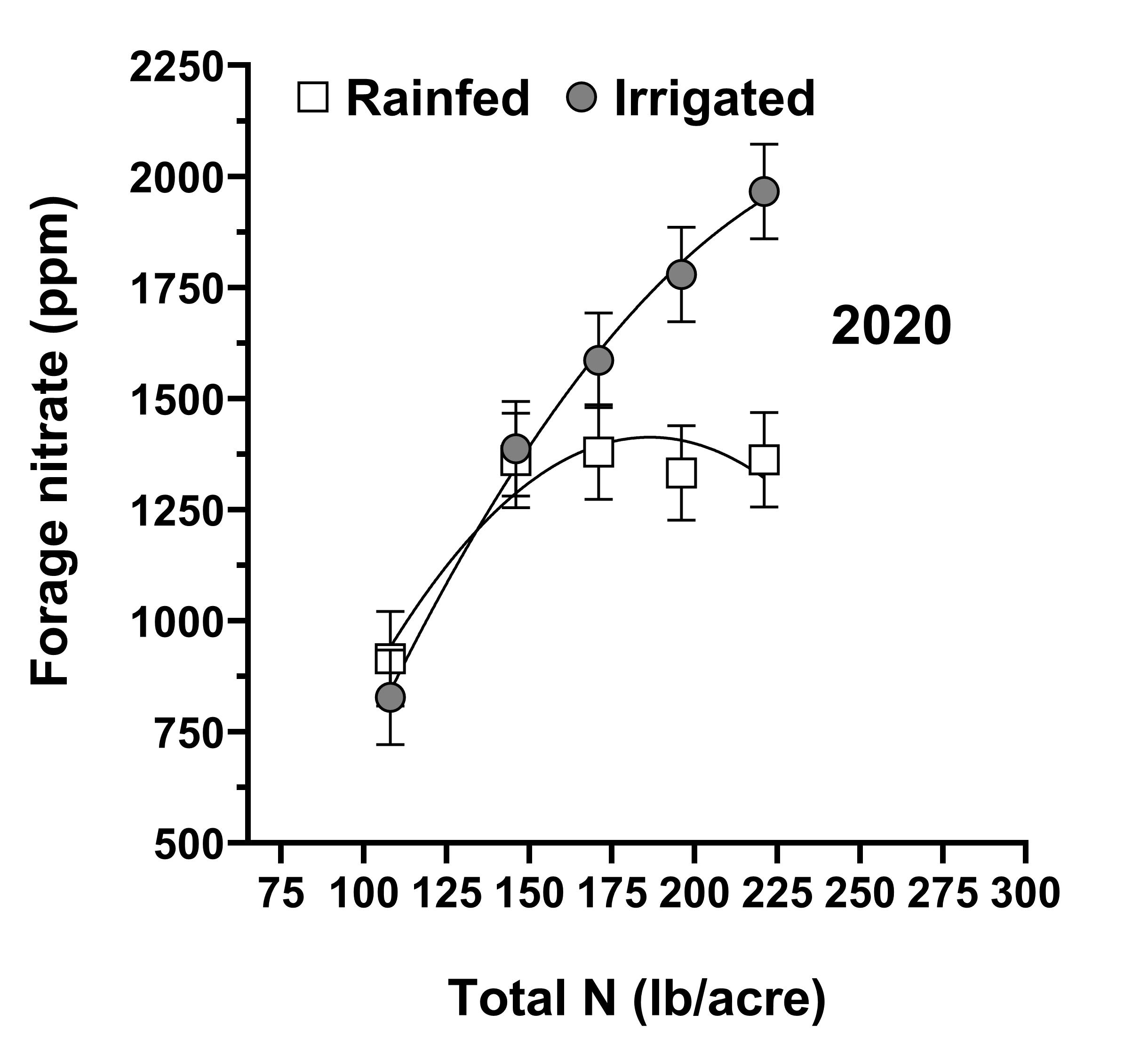 forage nitrate with and without irrigation by total soil N