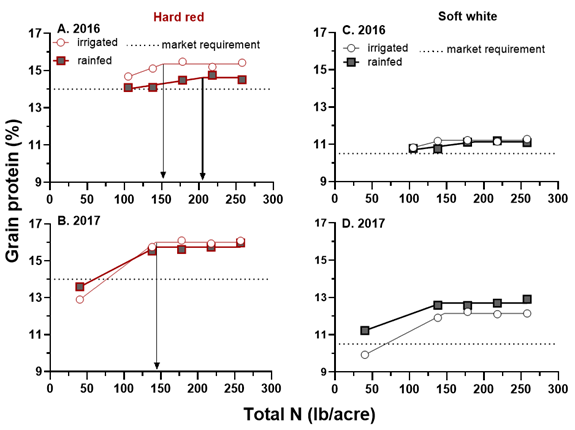 grain protein for hard red and soft white spring wheat in 2 years