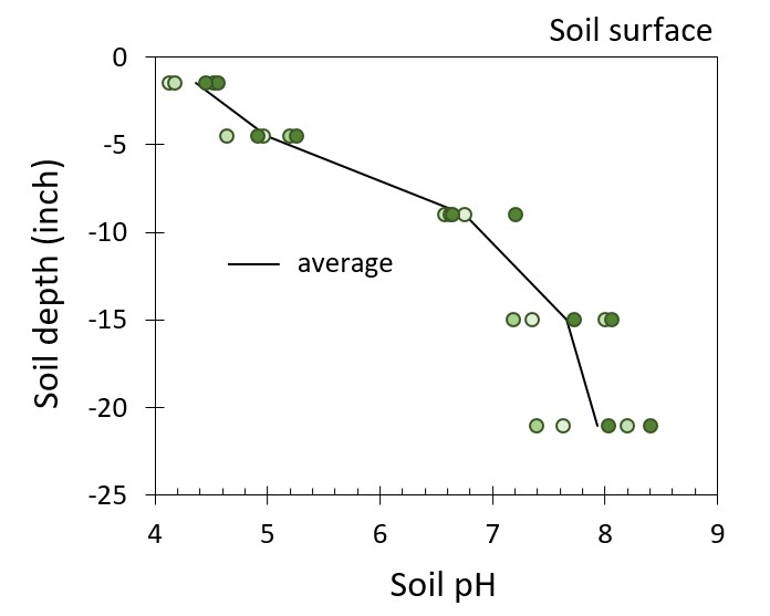 Figure 2. soil pH by depth
