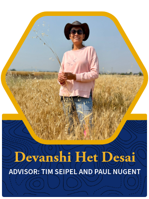 Devanshi Desai profile