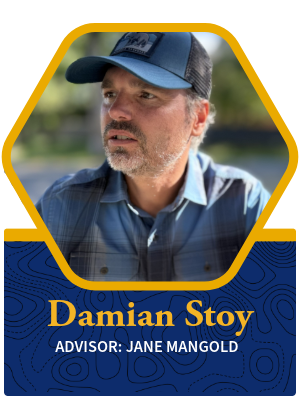 Damian Stoy bio photo