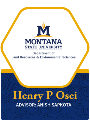 Henry Osei profile