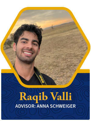 Raquib Valli photo for bio
