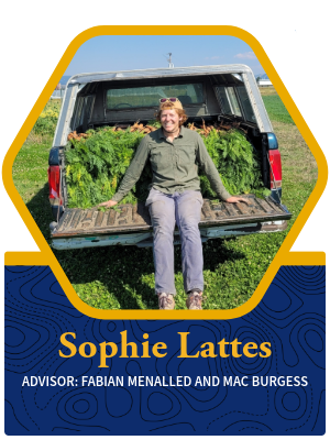 Sophie Lattes bio photo of her sitting in the bed of a truck that is full of carrots