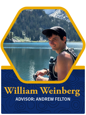 William Weinberg bio photo