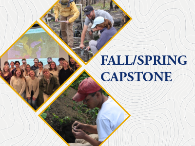 Communications Capstone