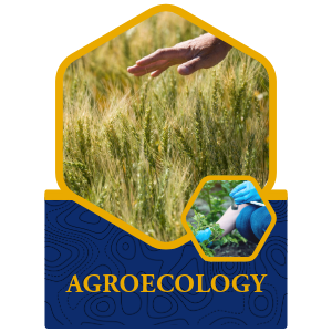 Agroecology Icon