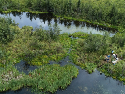 wetland ecosystem with research group on right side
