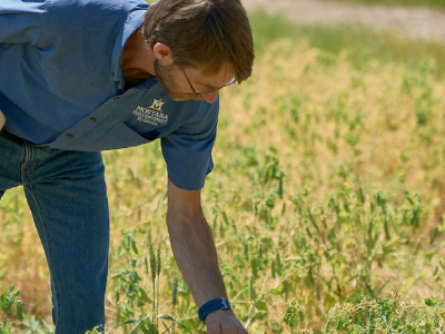 image of man bending down to look at flora for a closer look