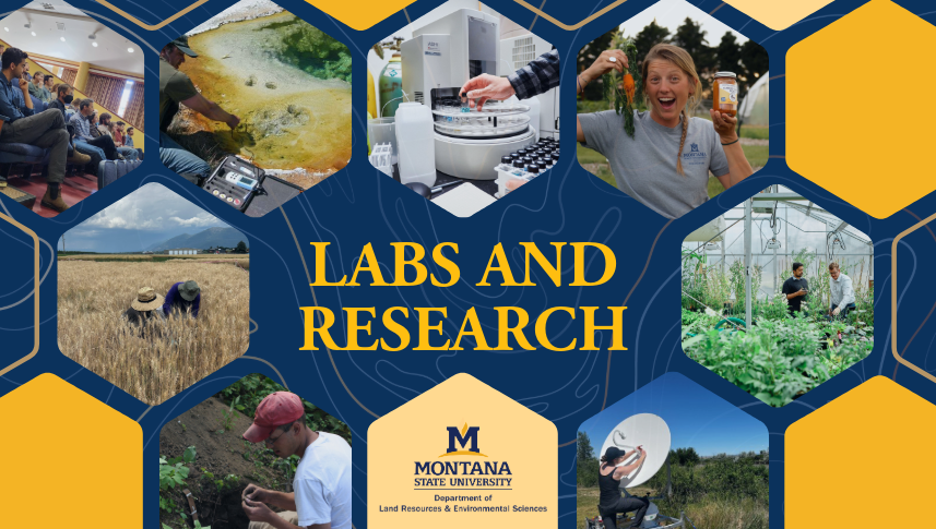 Banner featuring photos from various LRES research and labs