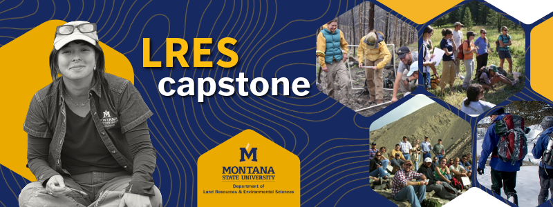 capstone banner depicting many groups of students working on their project