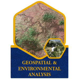 Geospatial Icon
