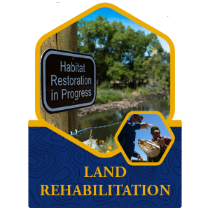 Land rehab icon
