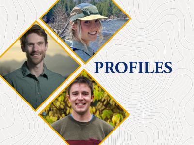 Profiles