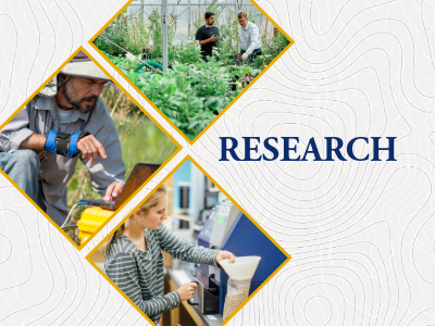 Research Banner