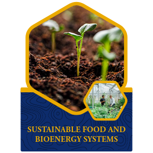 Sustainable Food Icon