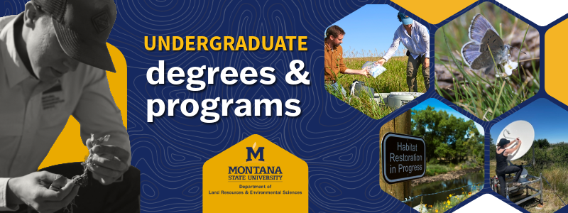 undergraduate banner featuring a student bending down to the soil as well as various images of faculty and other students