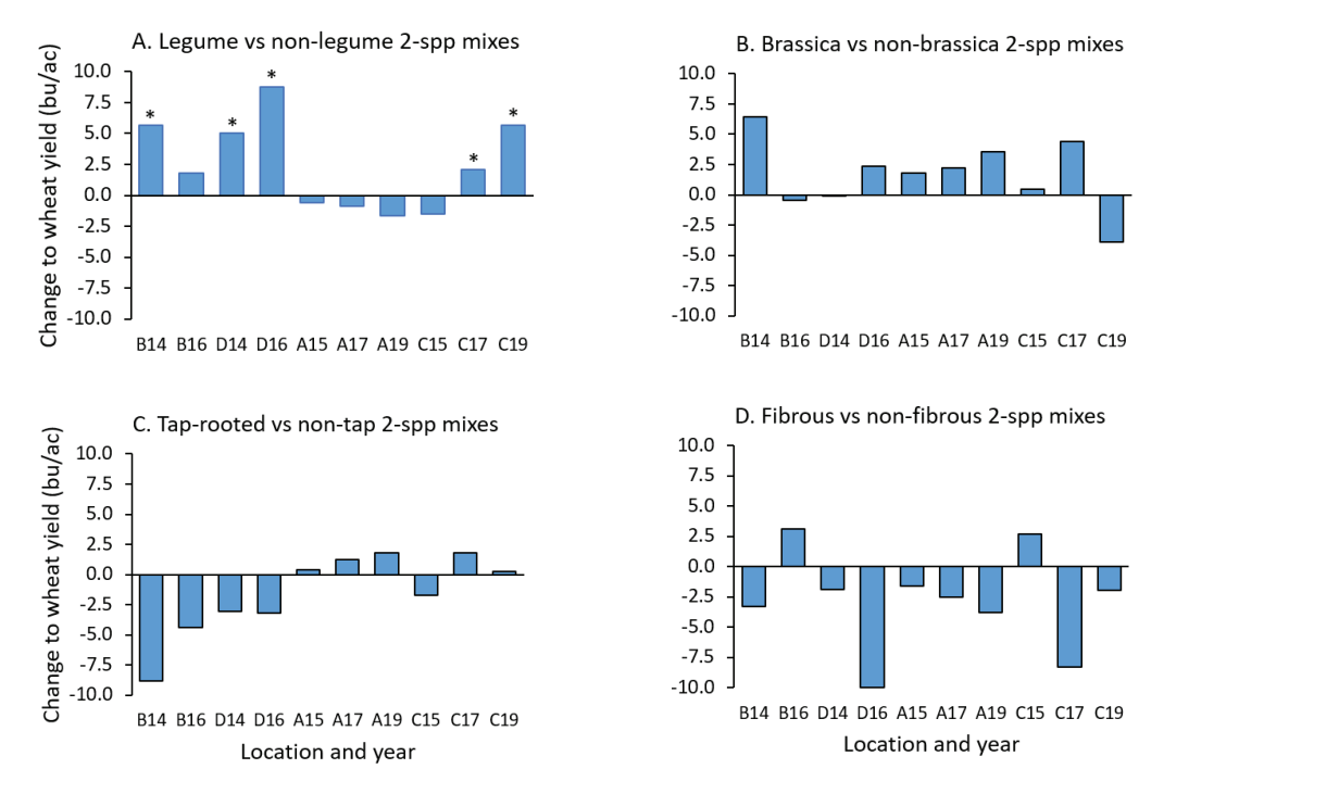 Figure 3: The change in wheat yield on 10 Montana dryland site-years following 2-species mixes of A. legume (spring pea, lentil) vs. non-legume, B. brassica (daikon radish, winter canola) vs. non-brassica, C. tap- (purple top turnip, safflower) vs. nontap root, and D. fibrous (oat, canary seed) vs. non-fibrous root covers (e.g., Figure A is the 2-species legume cover minus the average of 2-species brassica, 2-species tap-root, and 2-species fibrous-root covers). Numbers indicate crop-year (e.g., 14 = 2014). The letter in front of crop-year indicates site, A = Amsterdam, B = Bozeman, C = Conrad, D = Dutton. Statistics were only available for Figure A. In site-years with *, yields after legumes were significantly higher than after non-legumes with 95% confidence (8). 