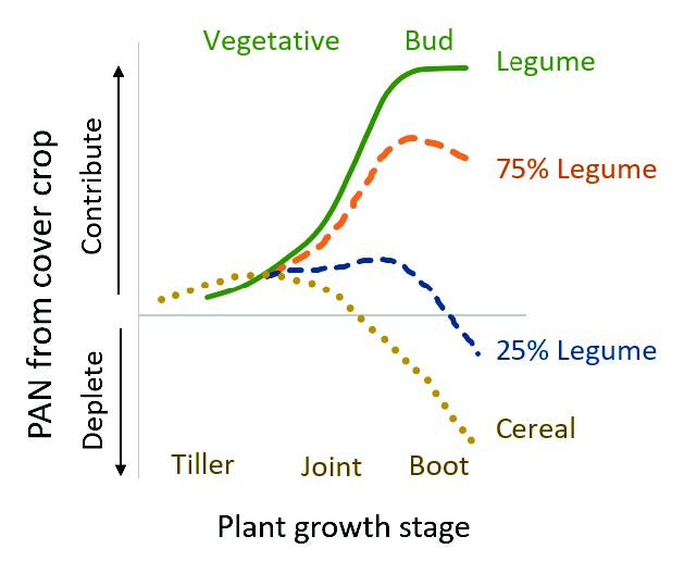 Figure 5. Plant available N (PAN) by cover crop legume content and plant stage at termination (39, OR)