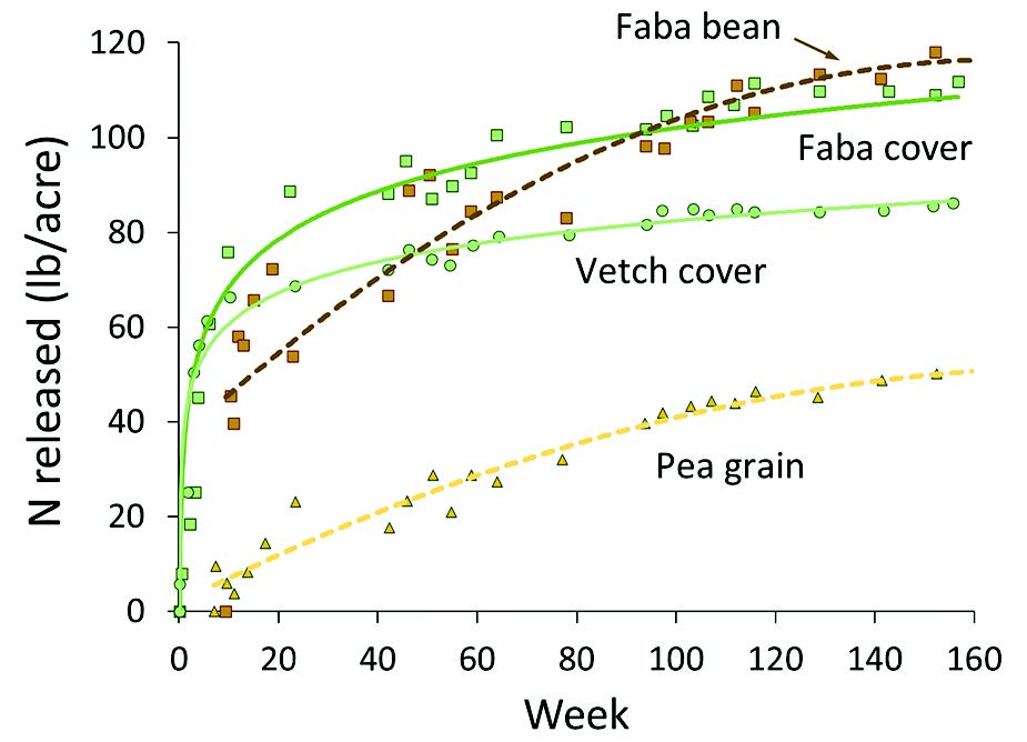 Figure 6. Pounds of N released from above ground cover and mature pulse crop residue over time. Cover was cut at full bloom (9, AB).