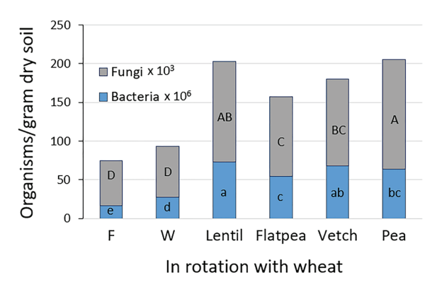Figure 1. Fungi and bacteria counts in top 4-inch of soil following six years of crop rotations. F – fallow, W – spring wheat. Sampled in October, two months after wheat harvest, 15 months after cover crop termination. Bars with at least one same letter within microbe group are equal with 95% confidence (2, SK).