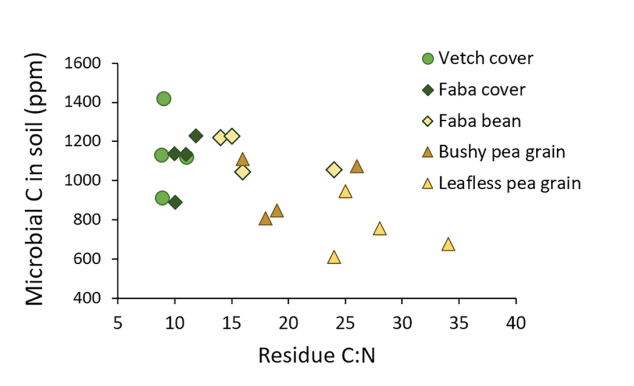 Figure 2. Relationship between the initial C:N of crop residue and soil microbial biomass C in summer of third subsequent crop (14, AB).