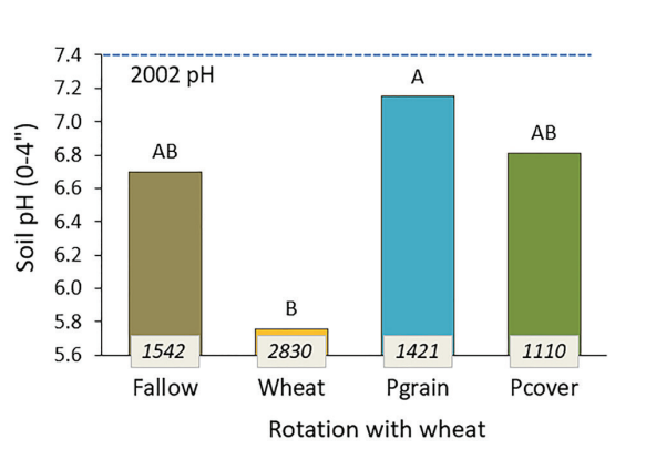 Figure 3. Soil pH after 18 years of fallow, wheat, pea grain, pea cover in no-till rotation with wheat, and total N fertilizer (lb N/ acre) applied to each system. Bars with the same letters are equal with 90% confidence (30).