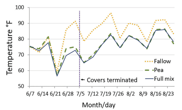 Figure 5:  Summer soil temperature at 2-inch depth at 4 p.m. in fallow, pea cover, and 8-species (Full) cover chemically terminated at early bloom (32, MT).