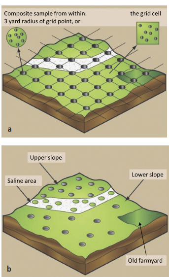 FIGURE 1. Soil sampling schemes in a grid pattern (a) or by zone (b). Adapted from reference 1 and used by permission.