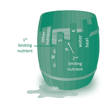 FIGURE 1. The law of the minimum.  Image adapted from Wikipedia.org.