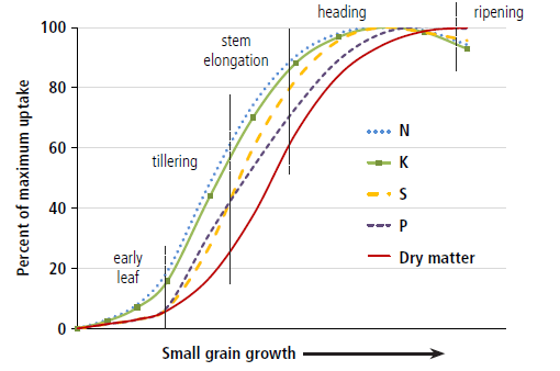 FIGURE 4. Cumulative increase in biomass and uptake of N, P, K, and S in small grains, as percent of maximum uptake (Saskatchewan, adapted from 1).